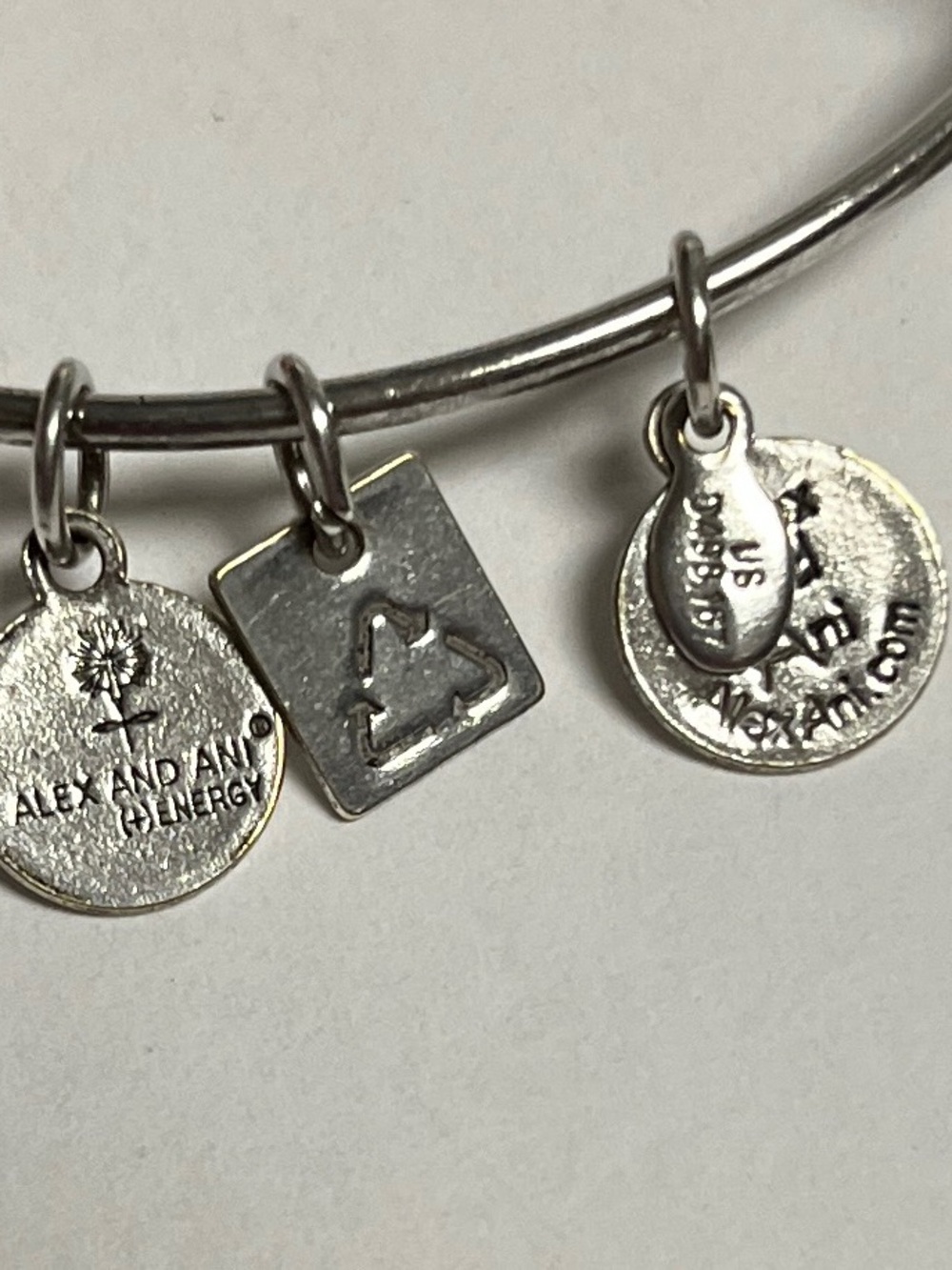 Alex and Ani Silver Penguin Charm Bangle with Heart and Tag Accents - Picture 3 of 5